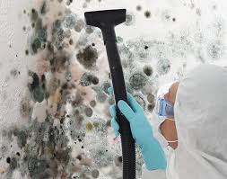 Trusted Holbrook, AZ Mold Prevention & Removal  Experts